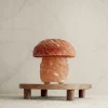 Baby Natura Himalaya zoutlamp paddenstoel