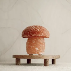 Baby Natura Himalaya zoutlamp paddenstoel