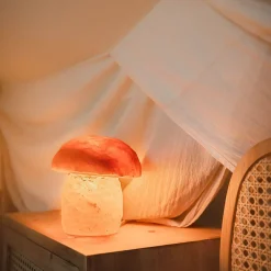 Baby Natura Himalaya zoutlamp paddenstoel