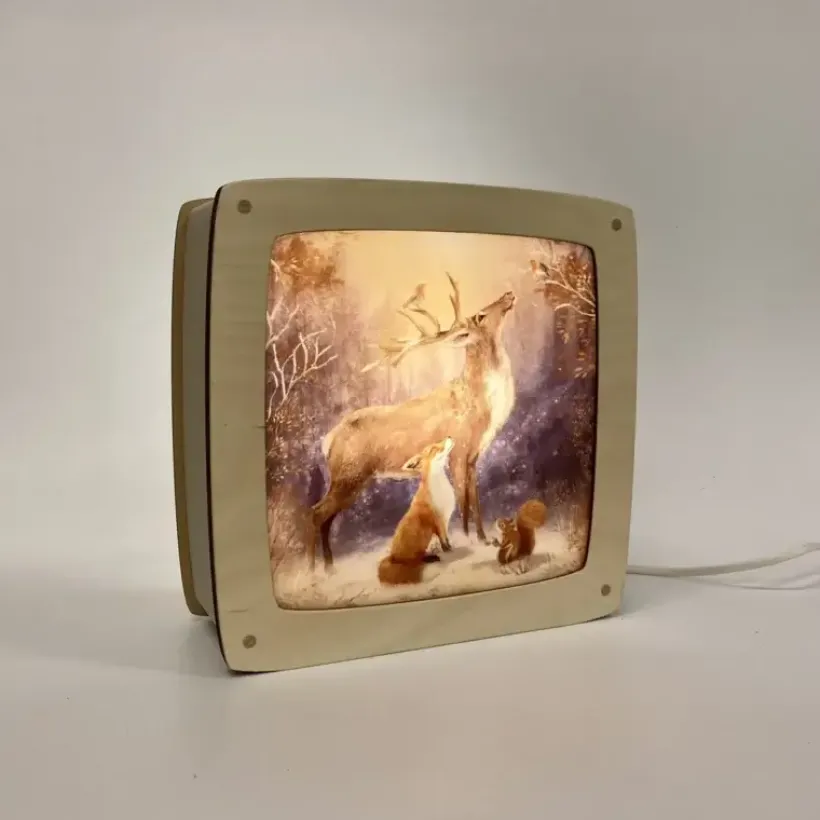 Iris esther Toverplaat Winterwonders