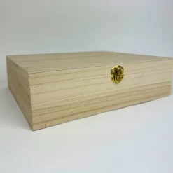 Klein dappertje Steker bewaarkist hout 12-vaks